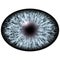 Isolated blue eye. Big eye with striped iris and dark elliptic pupil, dark retina.