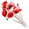 Isolated bouquet with watercolor red poppies.