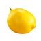 Isolated bribant yellow lemon