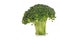 Isolated broccoli