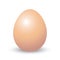 Isolated brown egg