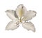 Isolated Buddhist Bauhinia Flower from an Orchid Tree with Transparent Background.