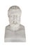 Isolated bust of Metrodorus of Lamsacus (the younger) - greek ph