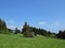 Isolated Cabin under Tree on a Meadow in Mountains Surrounded by Forrest