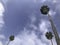 Isolated California palm trees against blue sky with clouds.