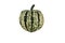 Isolated carnival squash on white