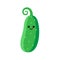 Isolated cartoon green cucumber with kawaii face on white background. Colorful friendly cucumber vegetable. Cute funny personage.