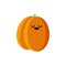Isolated cartoon orange apricot with kawaii face on white background. Colorful friendly apricot fruit. Cute funny personage. Flat