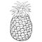 Isolated Cartoon Pineapple