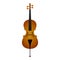 Isolated cello. Musical instrument