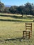 Isolated chair in a grassy field in a sunny orchard in Cordoba.