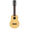 Isolated charango icon. Musical instrument