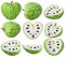 Isolated cherimoya collection. Fresh cherimoya fruits of different shapes, whole and cut, isolated on white
