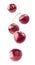 Isolated cherries flying in the air