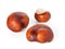 Isolated chestnuts