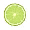 Isolated circle of juicy green color bergamot on white background. Realistic colored round slice.
