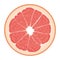 Isolated circle of juicy pink color grapefruit on white background. Realistic colored round slice.