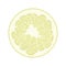 Isolated circle of juicy yellow color pomelo on white background. Realistic colored round slice.