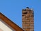 Isolated clay brick chimney with weathered and spalling surface. wood trim on house gable end wall. blue sky