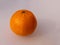 Isolated clementine on white cream background