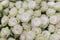 Isolated close-up of a huge bouquet of white roses. Many white roses as a floral background