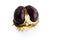 Isolated close-up of ripe shiny inshell horse chestnut on white background