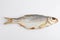 Isolated close up top view shot of a single Russian dried salted vobla Caspian Roach fish on a white background