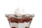 Isolated closeup chocolate pudding with whipped cream