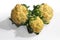 Isolated closeup shot of three white cauliflowers in front of a white background