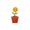 Isolated coin plant flat design