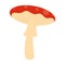 Isolated colored autumn mushroom icon Vector