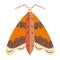 Isolated colored cute moth sketch character Vector