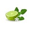 Isolated colored green half of juicy bergamot, kaffir lime with green leaves, white flower and shadow on white background. Realist