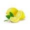 Isolated colored group of lemons, half, slice and whole juicy fruit with green leaves, white flower and shadow on white background