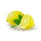 Isolated colored group of lemons, half and whole juicy fruit with green leaves, white flower and shadow on white background. Reali