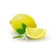 Isolated colored group of lemons, slice and whole juicy fruit with green leaves, white flower and shadow on white background. Real