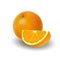 Isolated colored group of orange, slice and whole juicy fruit with shadow on white background. Realistic citrus.