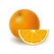 Isolated colored group of oranges, slice and whole juicy fruit with shadow on white background. Realistic citrus.