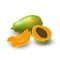 Isolated colored papaya, pawpaw, paw paw half with seeds, slice and whole juicy fruit on white background. Realistic fruit.