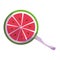 Isolated colored watermelon candy icon Vector