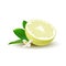 Isolated colored yellow half of juicy pomelo with green leaves, white flower and shadow on white background. Realistic citrus frui