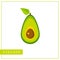 Isolated colorful avocado memory training card