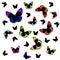 Isolated colorful butterflies