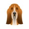 Isolated colorful head and face of basset hound on white background. Line color flat cartoon breed dog portrait
