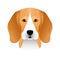 Isolated colorful head and face of beagle on white background. Line color flat cartoon breed dog portrait.