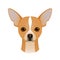 Isolated colorful head and face of chihuahua on white background. Color flat cartoon breed dog portrait.