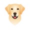 Isolated colorful head and face of happy labrador retriever on white background. Color flat cartoon breed dog portrait.