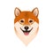 Isolated colorful head and face of happy shiba inu on white background. Color flat cartoon breed dog portrait