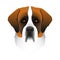 Isolated colorful head and face of saint bernard on white background. Line color flat cartoon breed dog portrait.