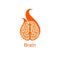 Isolated colorful vector brains. Medical logo.Scientifical logo. Orange neurobiology emblem. Intelligence image. Human